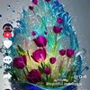 user1461179295530