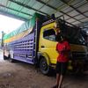 mamank6072