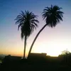 ahmeddiouane48