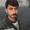 qurbanali35tiktok.comqu4