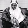 7rby._