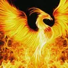 azad_rlp