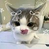 whois_faruu7