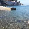 nellacapasso