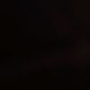 loyalboii_sova