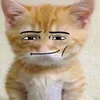 puoi_p4rl4rm1