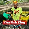 frankdegrate2