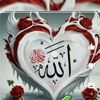 user7072118128238