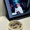 mish_879