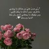 mnoo_r26
