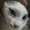 usuariodotiktok2602