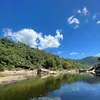 nguyenutiktok22