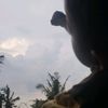 kinkenz_2003