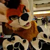 Khito_fox
