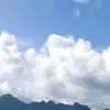 minumienbac