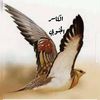 user8733292676143