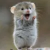 mhiliiilowiiii