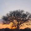 shadow_walke7