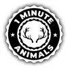 1 Minute Animals