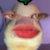 ediw3wzzz