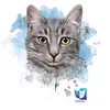 oscarthetomcat