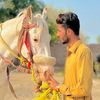 bilalshahhashmi55