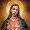 diosteama_125