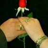 dimond_reer_amaadin