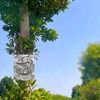 saraahmed0779