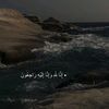 alaa__alhomsi