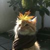 Mili