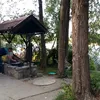 nemanrmzmtf