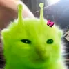 حسين