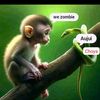 cho.ya8