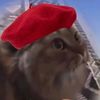 gatito1936