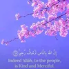 umia_12