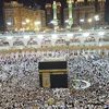 alinull559