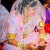 sehar12463