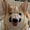 bumpedy_dump