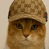 lechat2398