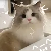 samnevn