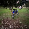 thatyz85rider