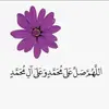 ch..shahzaib.ali4
