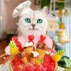 williampetstore