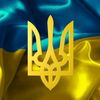 striz35