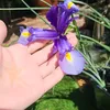 starnelson82