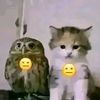 kui1nnnnnn