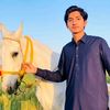 chauhdry9986