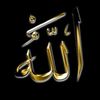 salihasalihax