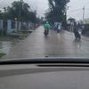 eninlincah